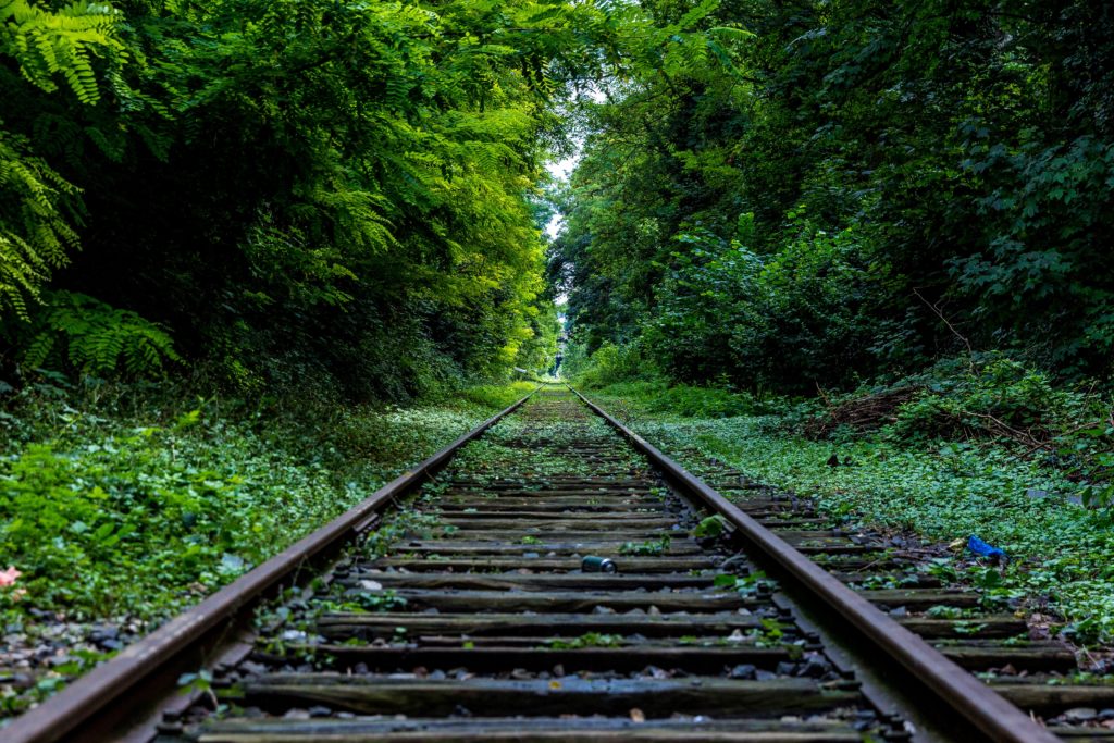 Train Tracks in Forest